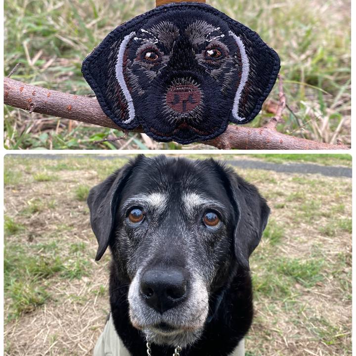 2f177dea a2ac 4fa4 aa91 e5553ee67b45 1730789879782