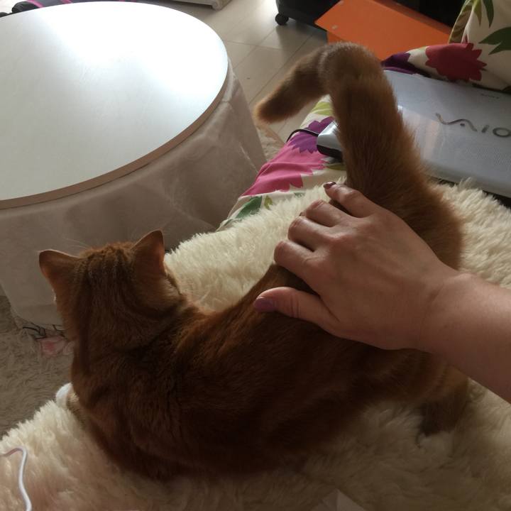 2f179129 0fb5 468c 91d8 c387eaebeef0 1557872892086