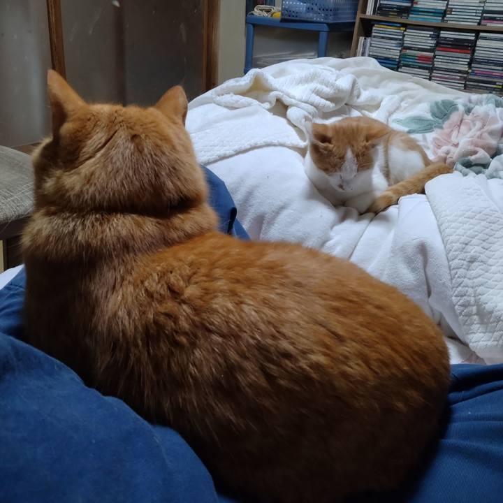 2f17c127 4bb5 4b72 882c b9455ac4f03d 1730633337569