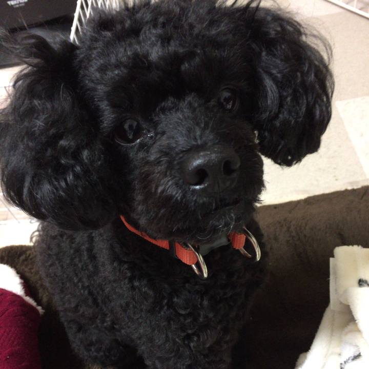 2f180547 cad3 44bb 92ea bb8a2a8015b8 1511505721817