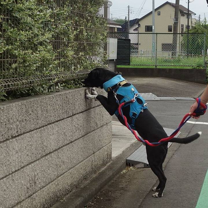 2f183b5c acf7 405d af78 e6eaaa07b9bd 1627605832167