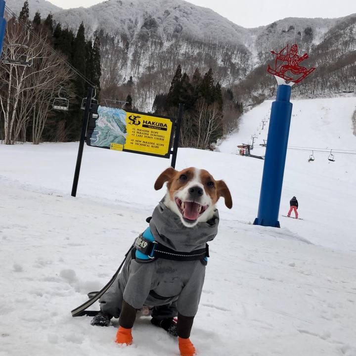 2f18786e cfe0 470b aa07 bd20de93fd83 1579948249054