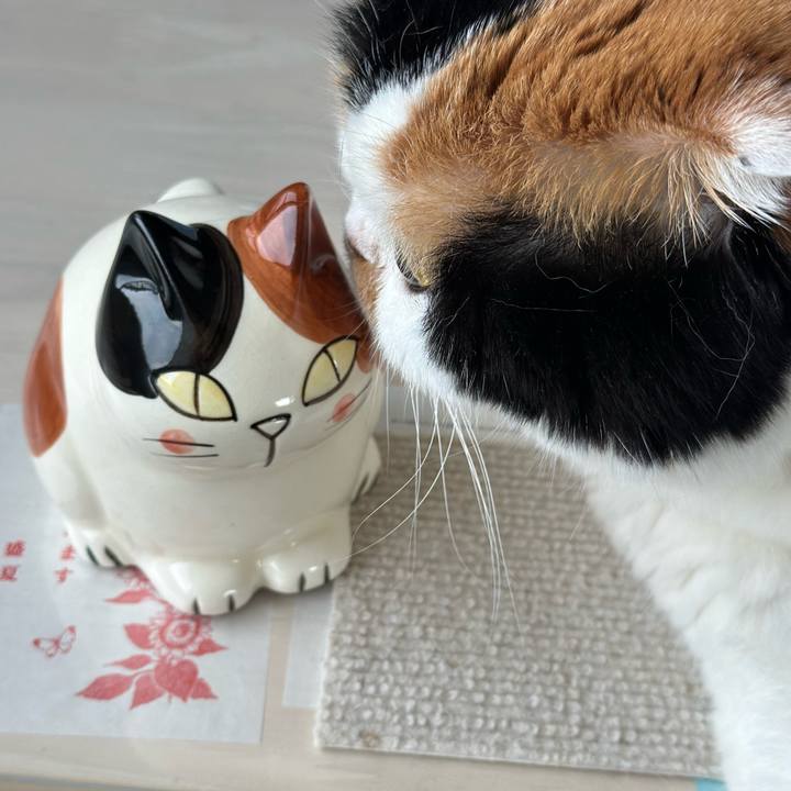 2f18a89e 8f9e 4c8c 839d 81585ce44e2b 1723333393935