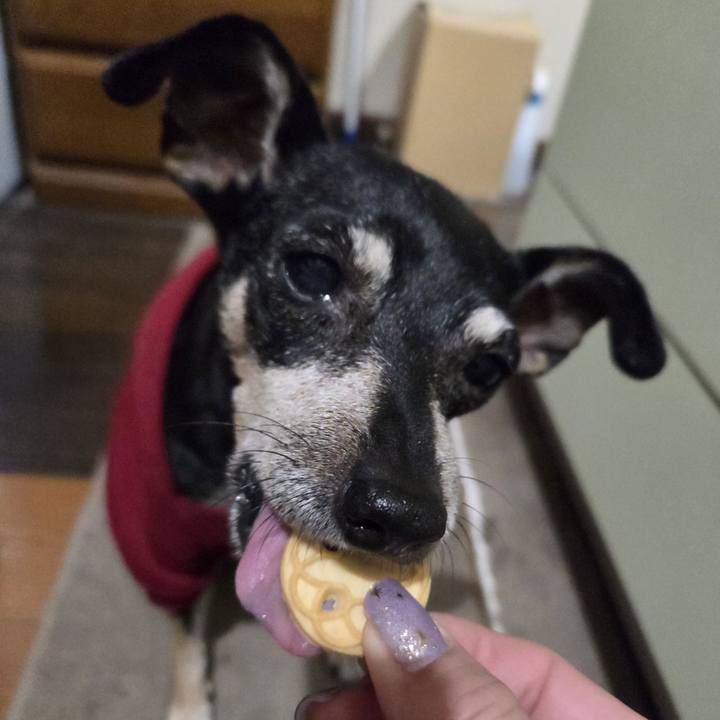 2f18cf23 9e36 465d 8d24 cccfb3305e6e 1760643527057