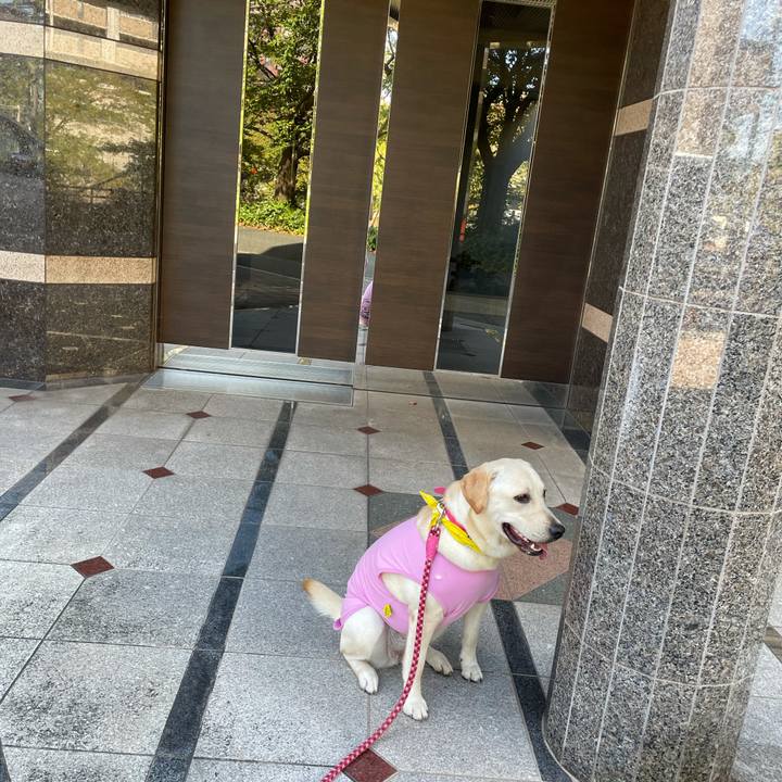 2f18d6d4 d777 4f66 a9c3 a408312bdfec 1633489406388