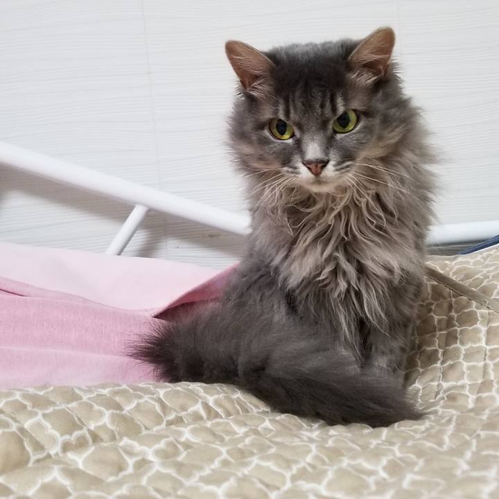 2f18df9d 86a6 49d8 a06c 55392d432f9f 1597932050889