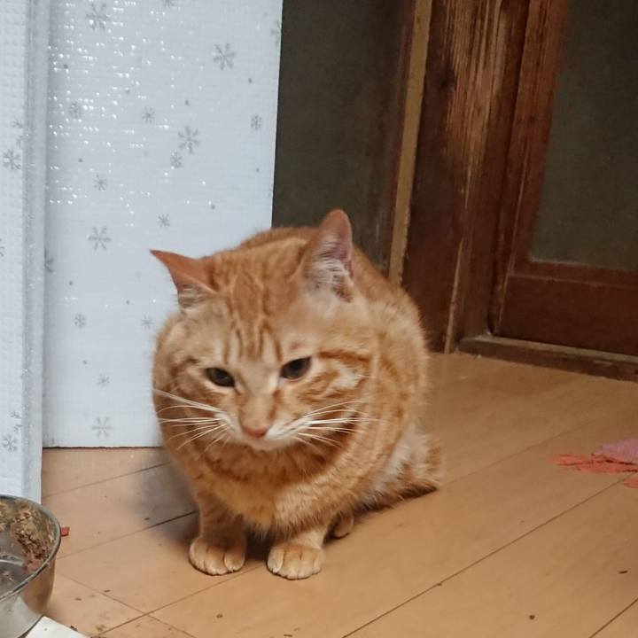 2f18e7e0 d459 4b74 89c1 e453d3726cd9 1646773219241