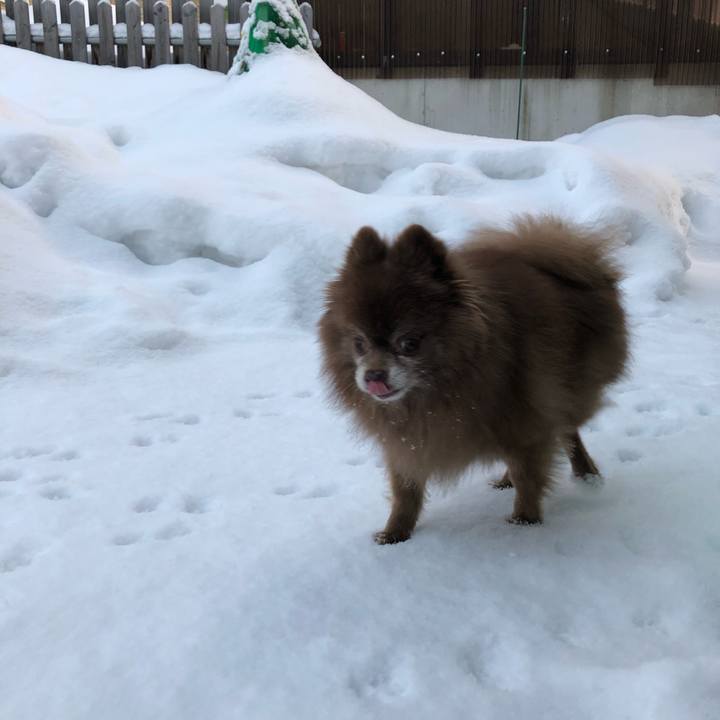 2f1902af fc8a 4654 af33 d600c265cb04 1611180971099