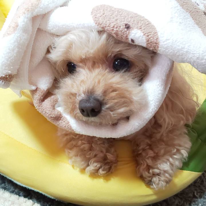 2f192539 880c 4927 9d54 c991dea321fa 1678274613745