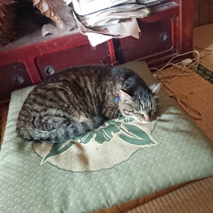 2f19518c 6d00 4003 8199 3361a264f00d 1655761674887