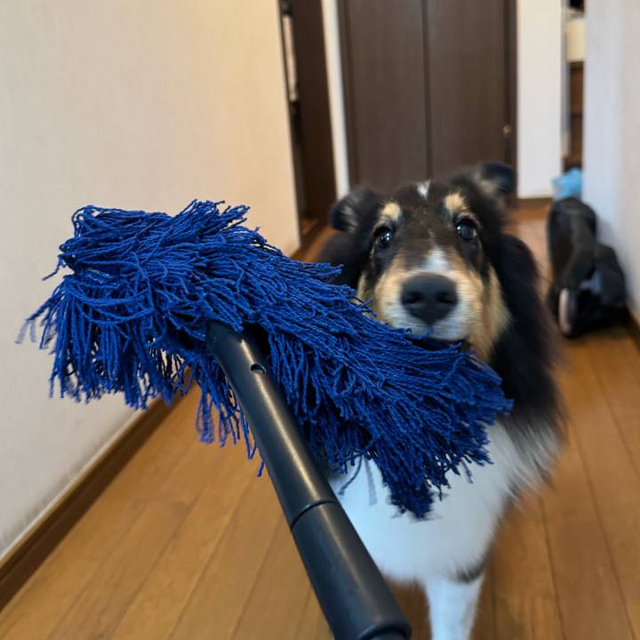 2f197a8c 4929 446c 90f6 87947a266574 1760372113396