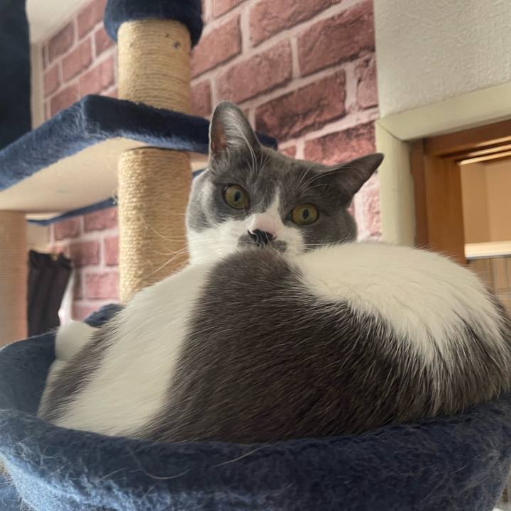 2f198676 bbb6 489a 9c28 35123fff5272 1675034165776