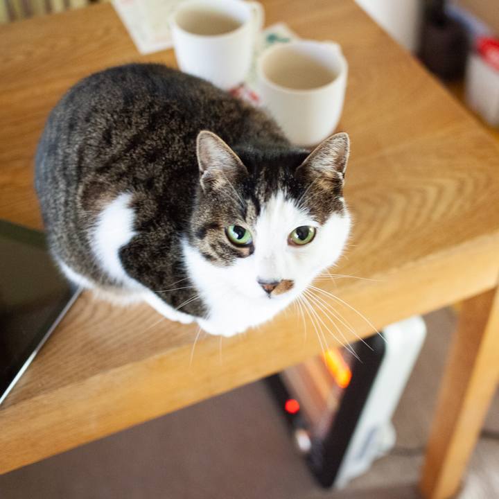 2f1991a1 742a 4ff3 b2a2 71050fb423e7 1580973977240