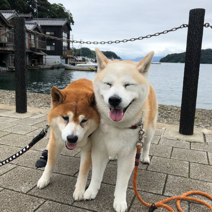 2f19d054 d17a 4059 a643 3d3acc443620 1599614123519