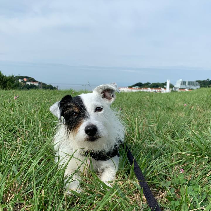 2f19ee9b f6c2 4a16 b427 bc5dc06dba73 1657321872032