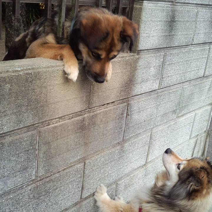 2f19f34f 6e53 486f a999 7380433c972f 1641447624638