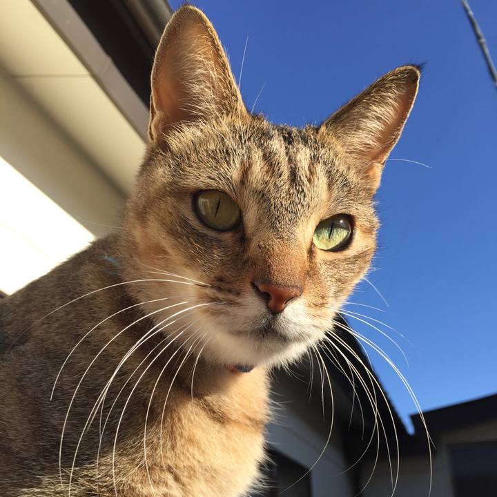 2f1a1753 19f5 4afb 8d51 842527417e95 1573947202384