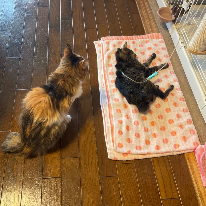 2f1a1c7f e7fc 4266 bcf6 cf75a33ff860 1772458110289