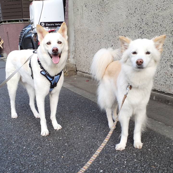 2f1a28af 32b2 4d7f be53 858d32ac075e 1688392213691