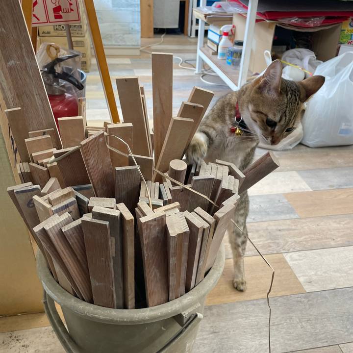 2f1a487b b007 40e8 8735 9be7ac807376 1689738393671