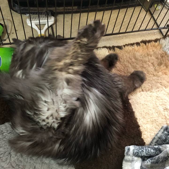 2f1a79d8 d06f 4b3a a057 d290d6fad127 1549925134286