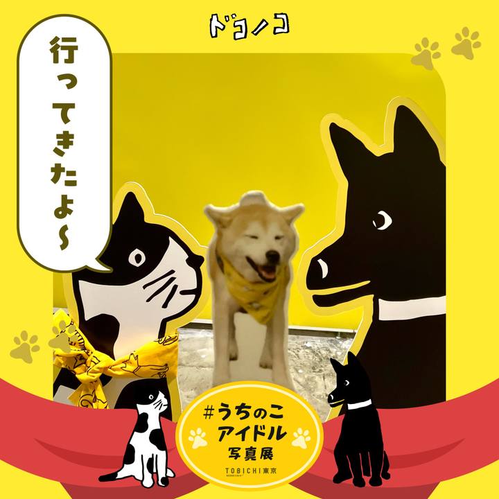 2f1aa77c 8a85 49f9 810d 153b61dfa1e5 1761195090965