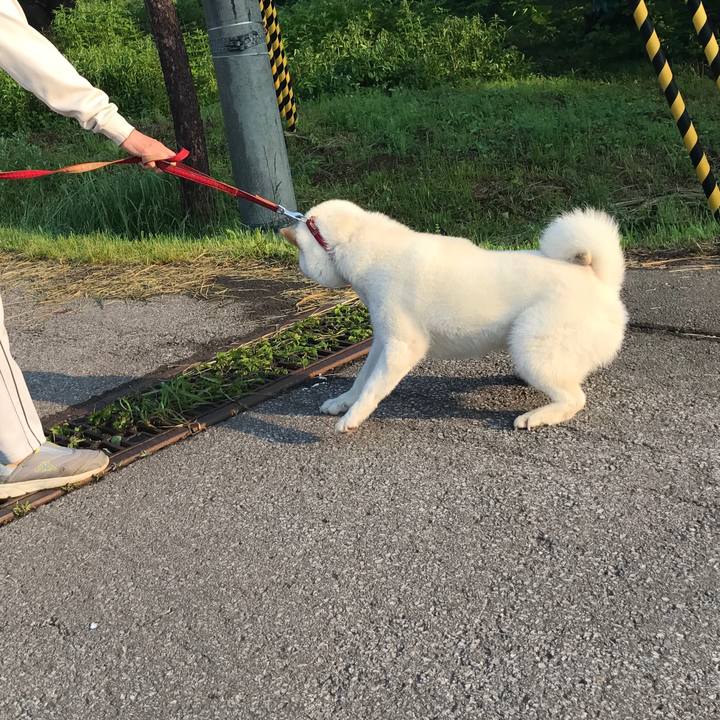 2f1acebf 1b55 48c5 8344 a1e6246ce1bb 1533204777366