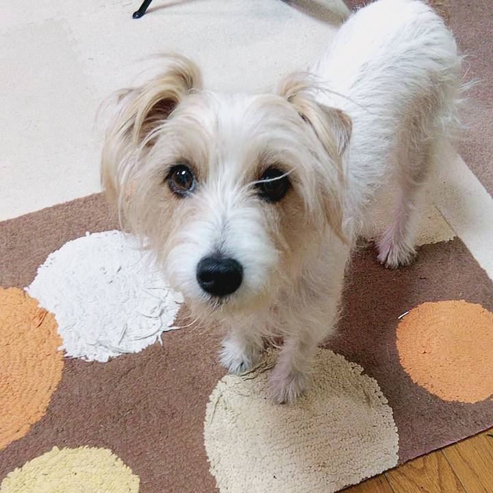 2f1adb50 6f34 4701 a613 0ed545c62adb 1715210847972