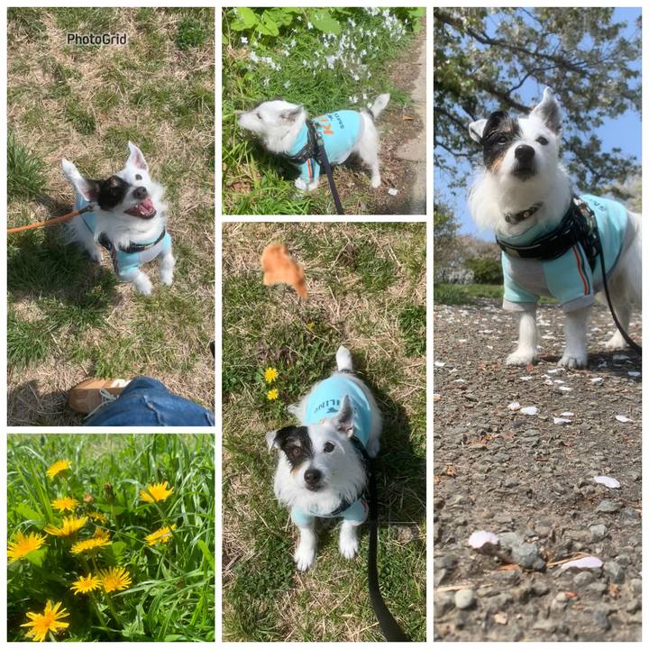 2f1af83b 478a 4629 a2b8 657004c53218 1744077481978