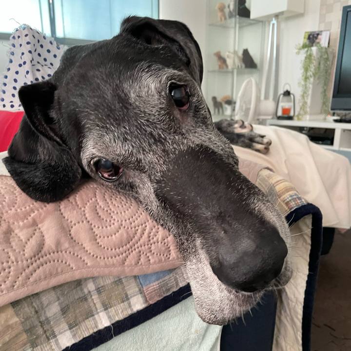 2f1afe64 e679 4817 89b7 f621b2e77980 1656370347224