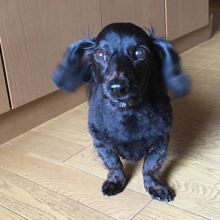 2f1b1135 5729 4c00 8fcf ac0d15004707 1530833493004