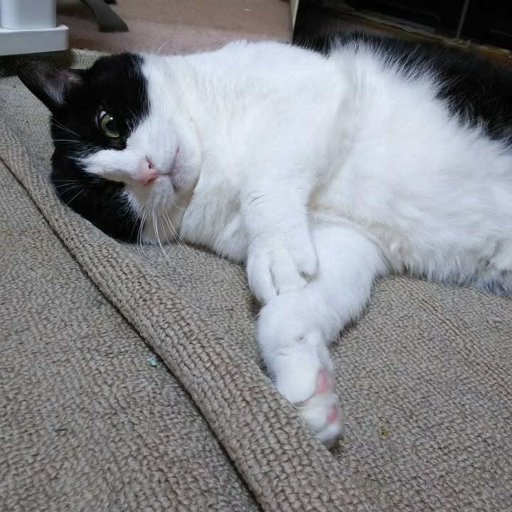 2f1b24c9 8636 4150 9608 eca3fa26d4bd 1533340797045