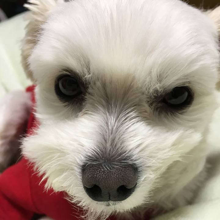 2f1b303b 1ba6 4406 9964 9107c944d495 1513338793766