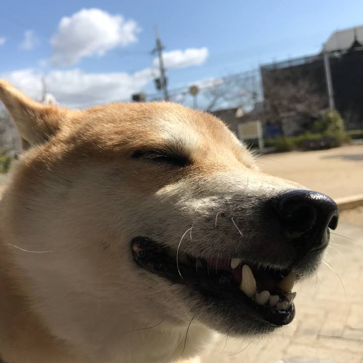 2f1b4b01 f82c 40f2 a1d9 ec4e38fd25cc 1519883911478