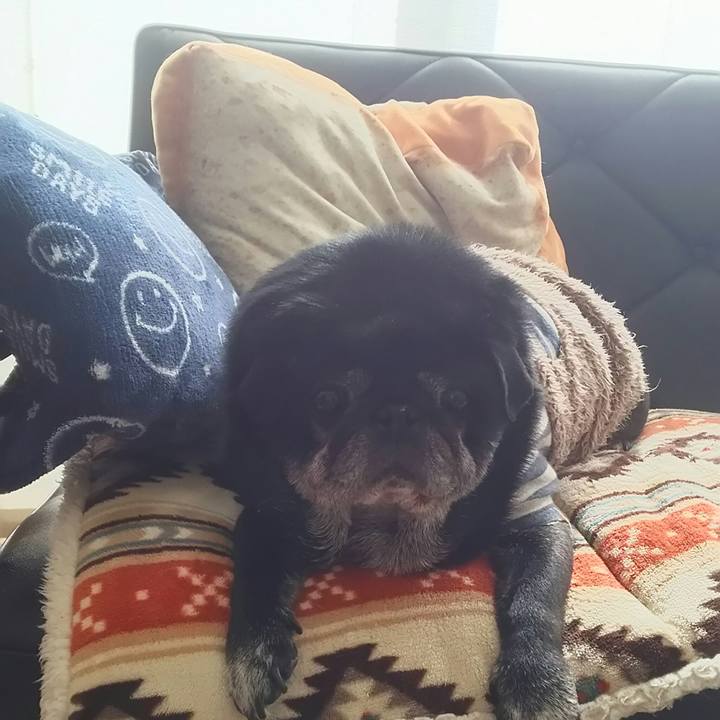 2f1b64c7 fae9 4577 bf3f f7042275a30e 1520325710099