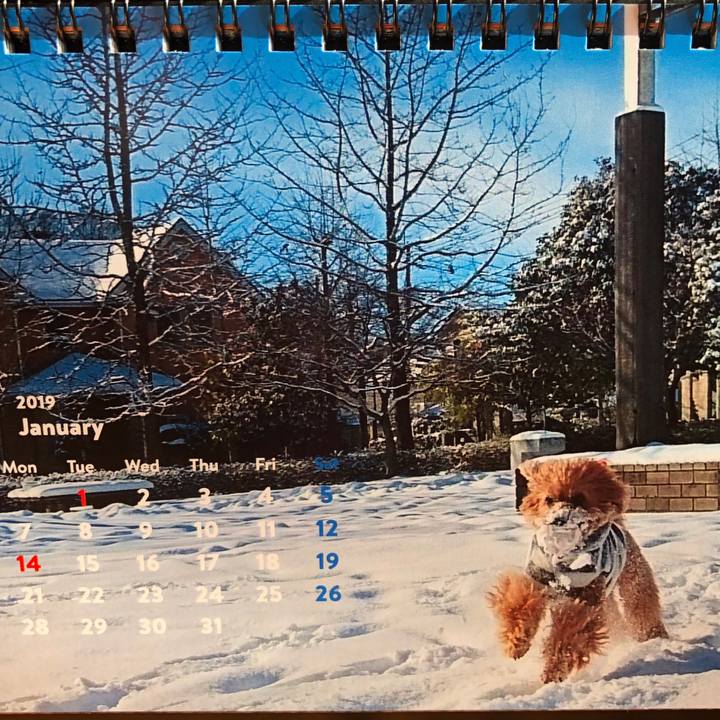 2f1b6bb7 883c 4445 8c9c 40435fb40934 1546311649402