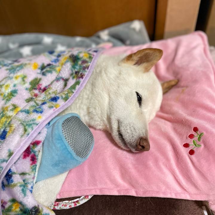 2f1b6c9c f2cb 4e6a bbd6 e09ab4c60b7d 1648987547889