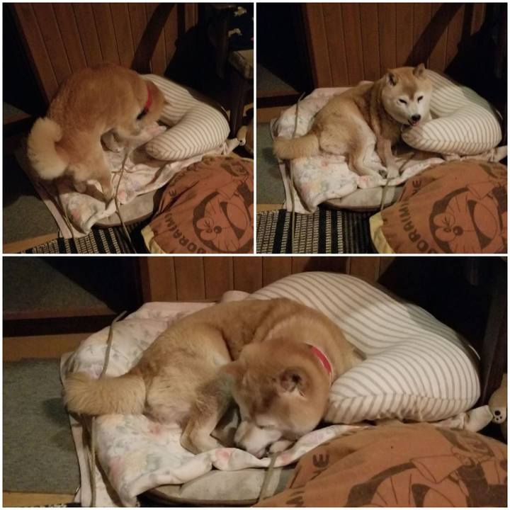 2f1b7a6b b8c0 4d74 8df8 a7bdd015857c 1718881231185