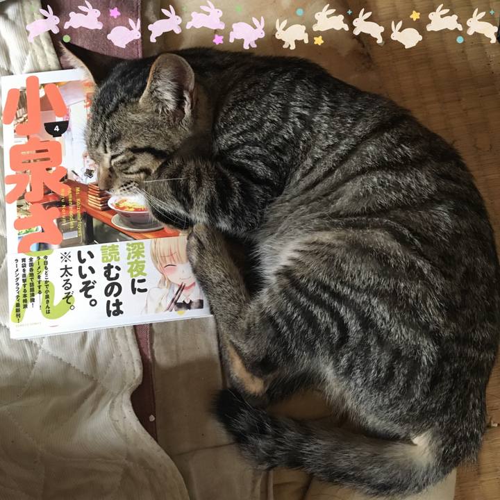 2f1bc7f7 94ca 4ca5 baba 871a3a2b82dc 1537237924517