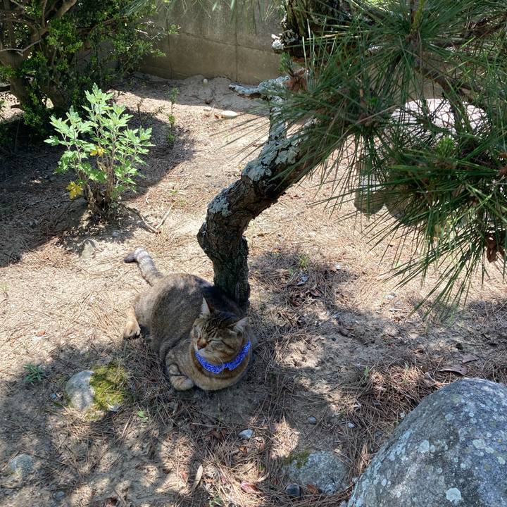 2f1bd277 12a6 4b52 a05f 0b23d0b12813 1684122966070