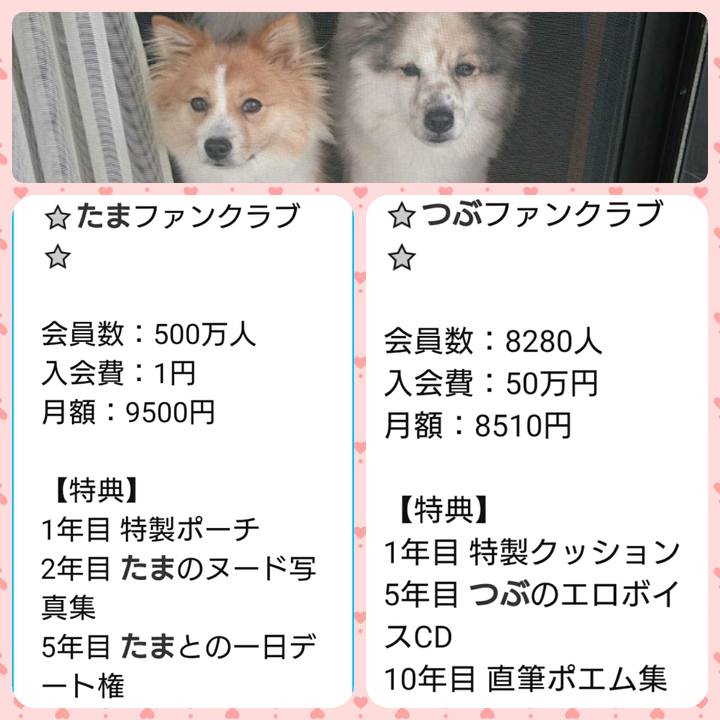 2f1c0d10 f92d 4cd1 93bc ab42c38c787a 1568474143005