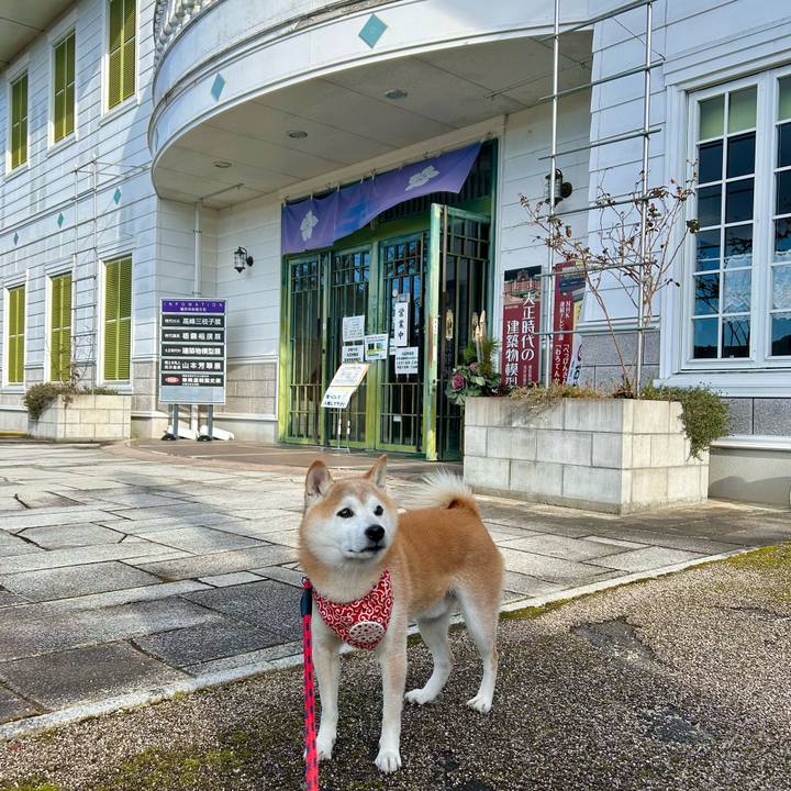 2f1c1f17 750c 4617 9be3 2748880cbe1a 1736679558076