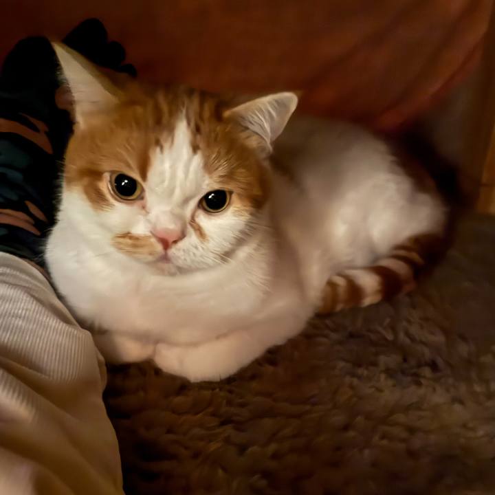 2f1ce711 806d 4805 8a1e 62e4debf8315 1762641064862