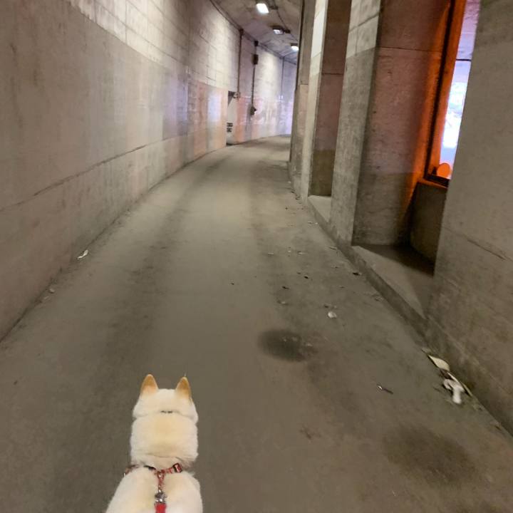 2f1cf2ab f943 42a4 a669 a5704b0c7a75 1557530973803