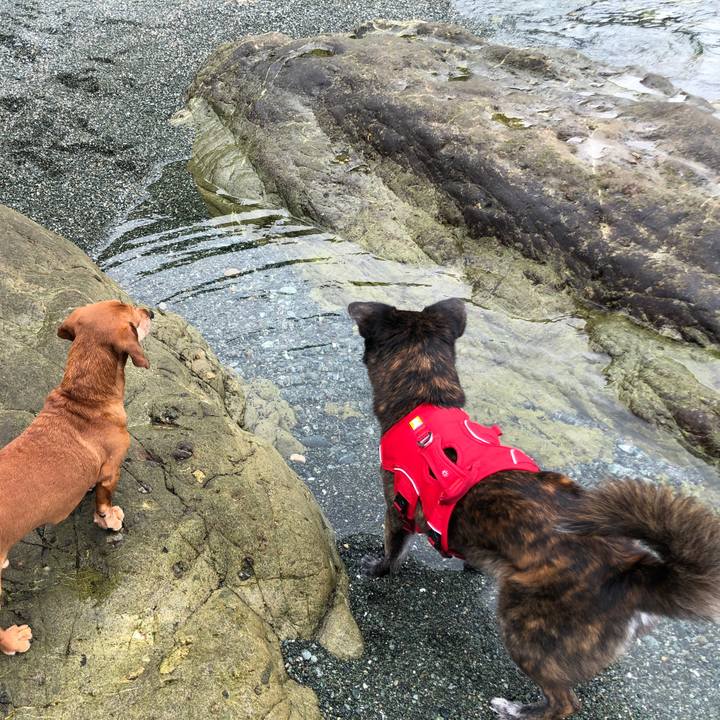 2f1cfea9 d75d 4f7a bcea 9545ffcc67aa 1629118097724