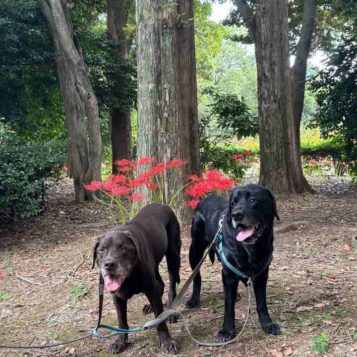 2f1d15ae 3cc6 4836 83ea 9f9d8e009693 1759232353687