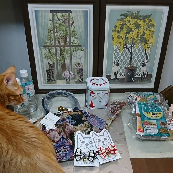 2f1d3dd1 de8f 454a 9393 a83026be391e 1513421335223