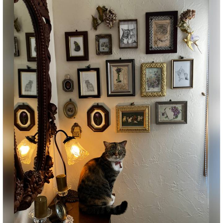 2f1d4219 f484 44ff b8b2 b7962a517ba8 1771396645072