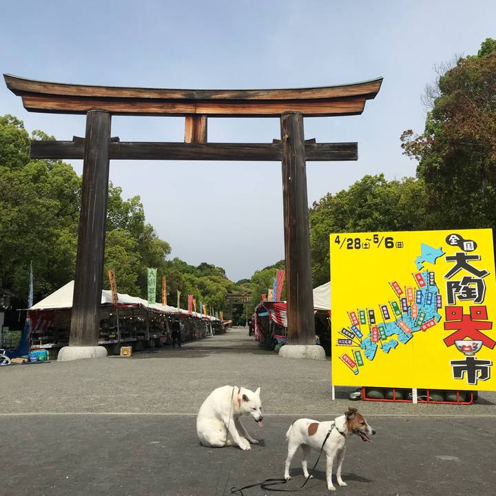 2f1d6157 bba6 4f51 b182 3c490105e801 1525062729079