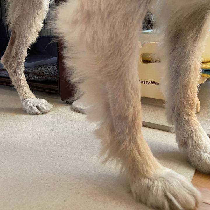 2f1d83fd fc30 4983 a862 8a54535d43da 1649738788757